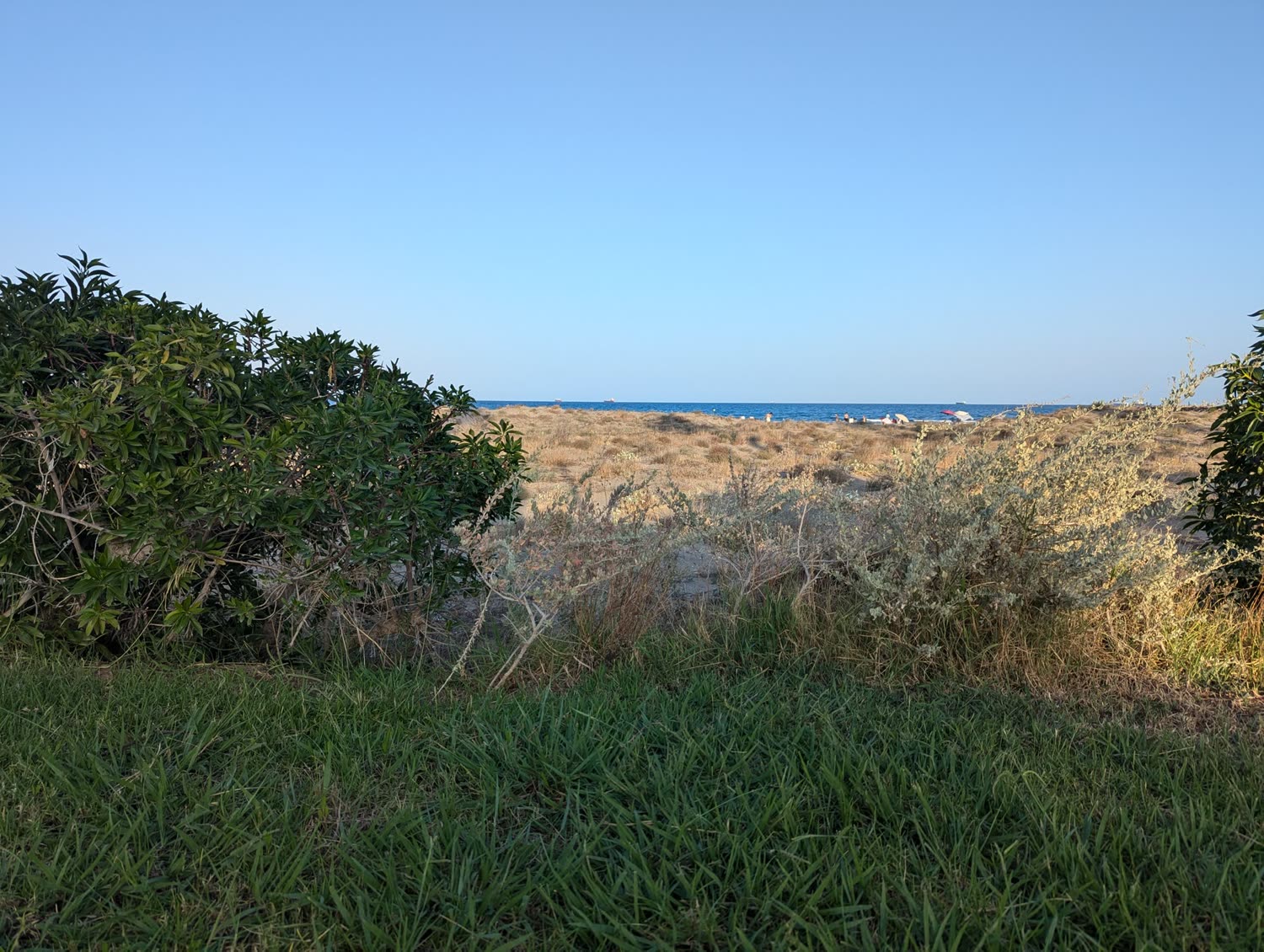 La duna y el mar vistos desde el jardín.