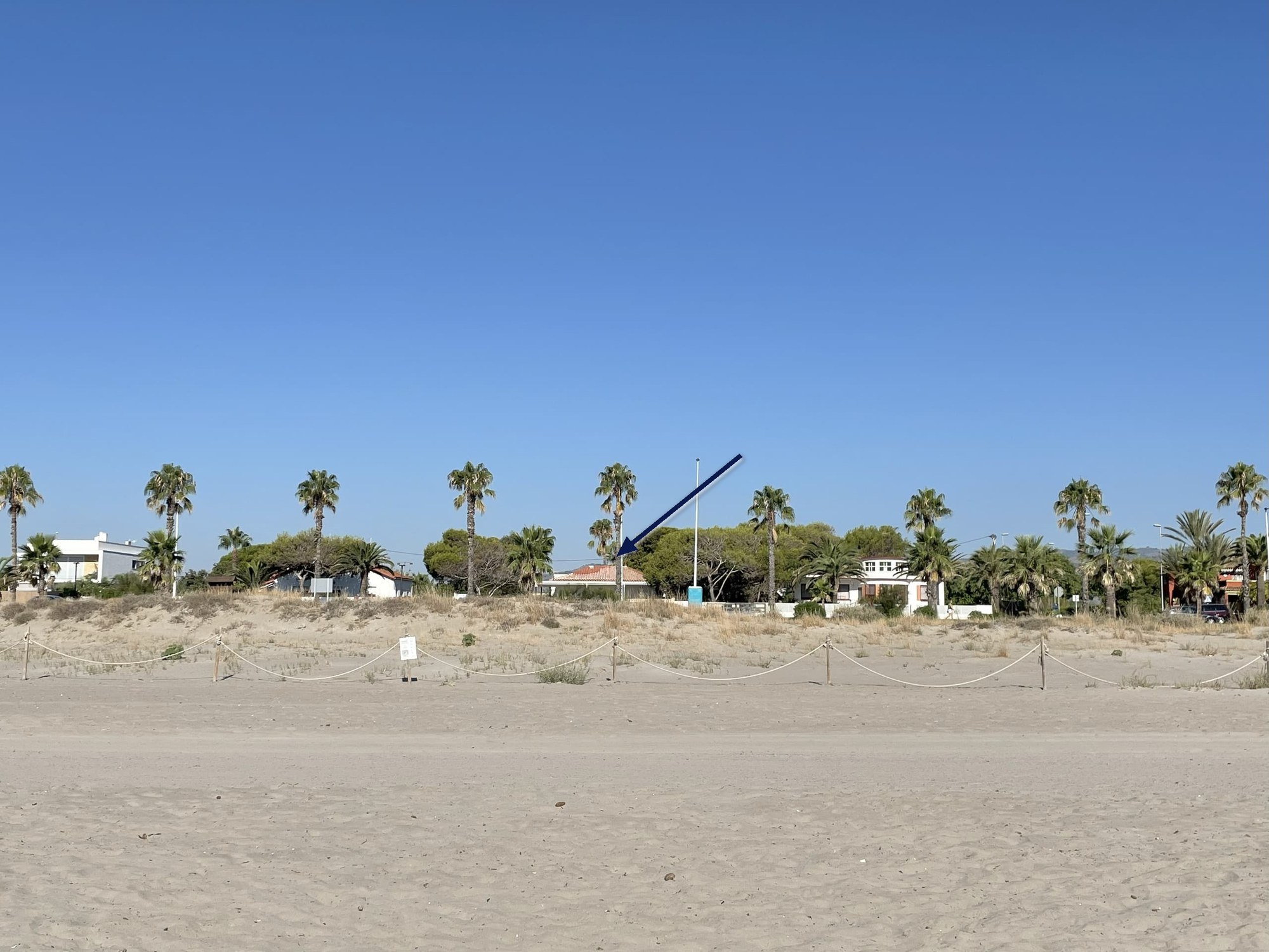 La playa del Serradal vista desde la orilla, con la duna acordonada y la línea de palmeras y pinos al fondo. Una flecha señala el tejado de la casa.
