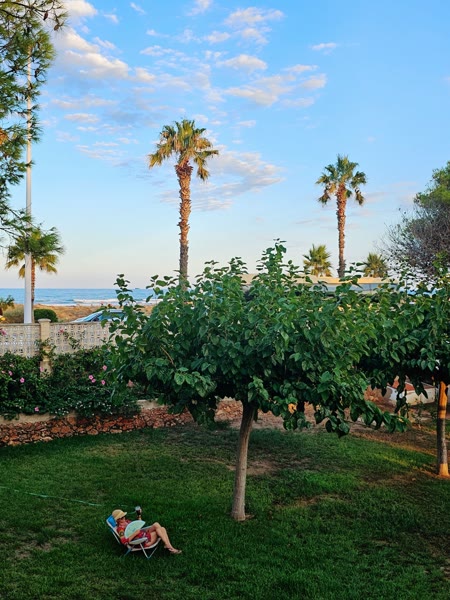 Jardín arbolado con el mar al fondo