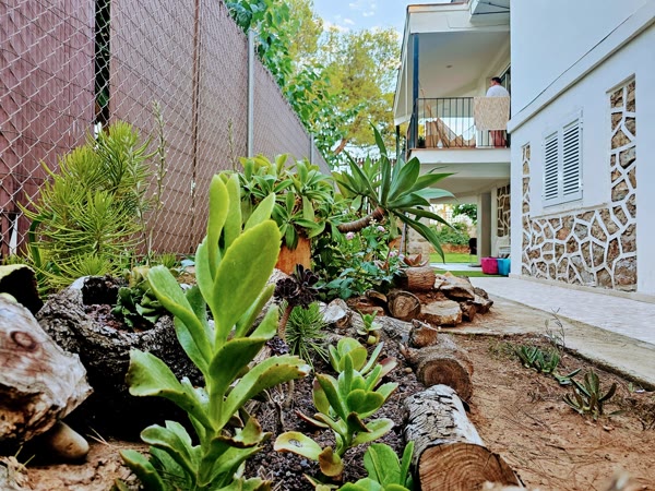 Rocalla y plantas junto a la casa