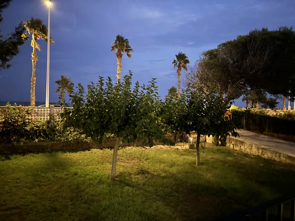 El jardín a la hora azul