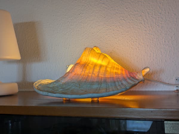 Lámpara de concha encendida