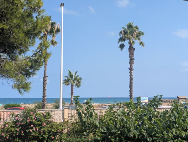 El mar por encima del seto de hibiscos