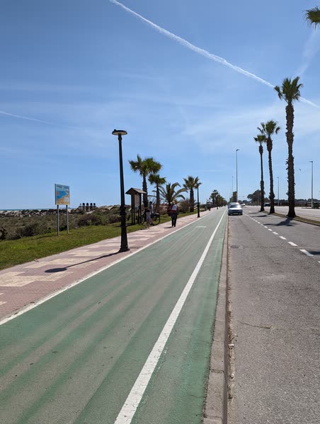 Carril bici entre palmeras