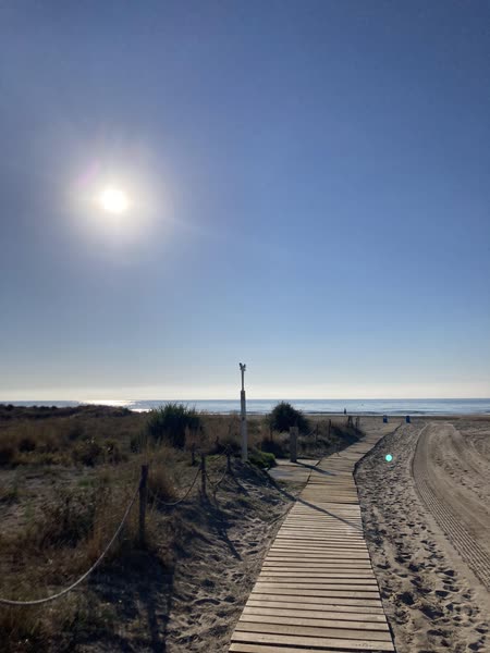 Pasarela de madera hacia el sol bajo