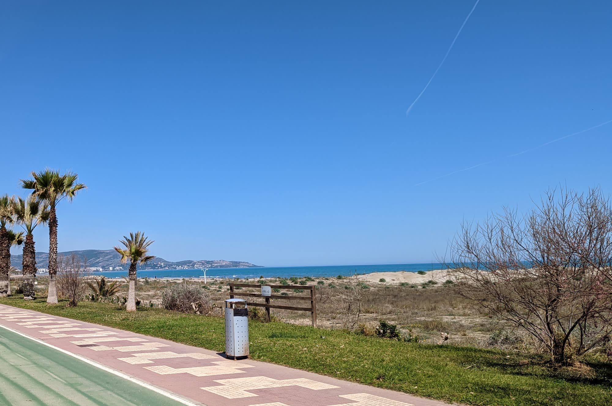 El carril bici junto al paseo marítimo, con palmeras, la duna y el mar.